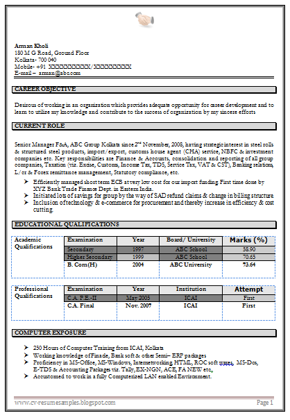 Excellent resume examples free